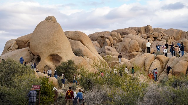 a crowd of tourists around a boulder shaped like a skull